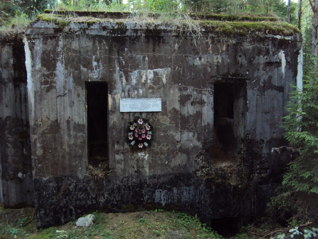 ДОТ № 59 современный вид