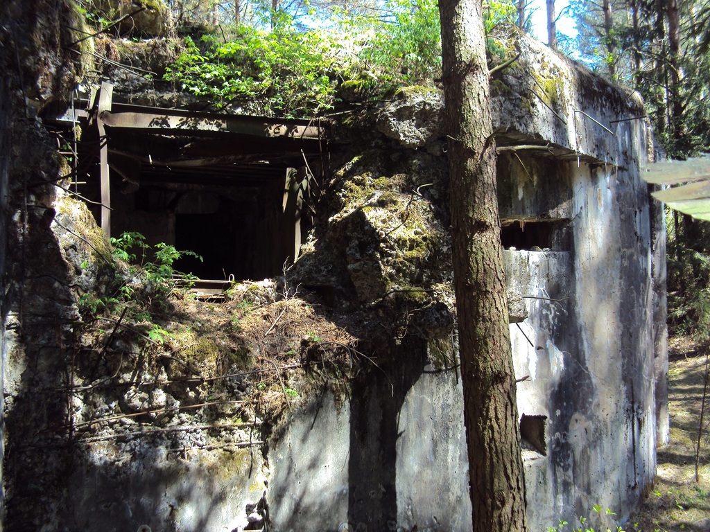 ДОТ № 59 современный вид